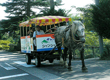 ジャンジャン馬車